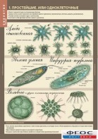 Комплект таблиц. Биология 7 класс. Животные. - fgospostavki.ru - Зеленогорск