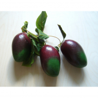 Ветка муляжей "Манго" - fgospostavki.ru - Зеленогорск