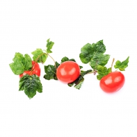 Ветка муляжей "Помидоры" - fgospostavki.ru - Зеленогорск