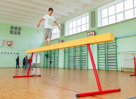 Бревно гимнастическое напольное постоянной высоты (700 мм) (5 м) - fgospostavki.ru - Зеленогорск