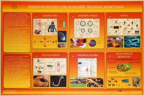 Электрифицированный стенд «Эпизоотология сельскохозяйственных животных» - fgospostavki.ru - Зеленогорск