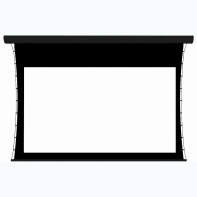 Экран настенный с электроприводом DSTPX-16916 - fgospostavki.ru - Зеленогорск