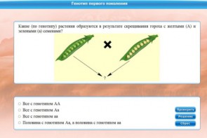Интерактивные курсы. Биология 11 класс. Базовый. - fgospostavki.ru - Зеленогорск