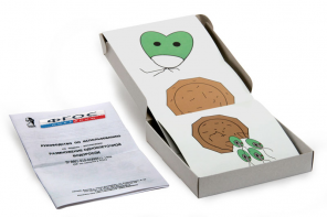 Модель-аппликация "Размножение одноклеточной водоросли" (набор из 11 карт) - fgospostavki.ru - Зеленогорск