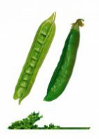 Комплект карточек "Запоминай, играй, считай" - Овощи - fgospostavki.ru - Зеленогорск