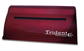 Принтер для печати рельефно-точечным шрифтом Брайля Trident - fgospostavki.ru - Зеленогорск