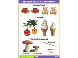 Таблица демонстрационная "Одинаковый, похожий и противоположный" (винил 70x100) - fgospostavki.ru - Зеленогорск