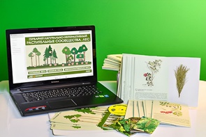 Гербарий натурально-интерактивный "Растительные сообщества. Лес" - fgospostavki.ru - Зеленогорск