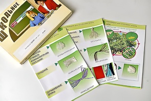 Коллекция "Шелк" (начальная школа) - fgospostavki.ru - Зеленогорск