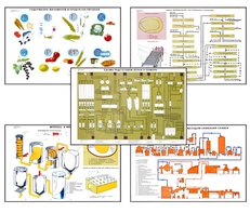 Плакаты ПРОФТЕХ "Сырье и материалы хлебопекарного производства" (20 пл, винил, 70х100) - fgospostavki.ru - Зеленогорск
