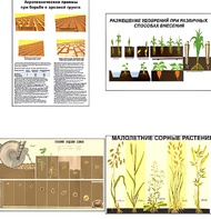 Плакаты ПРОФТЕХ "Агрономия" (5 пл, винил, 70х100) - fgospostavki.ru - Зеленогорск