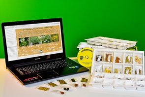 Коллекция натурально-интерактивная "Плоды сельскохозяйственных растений" - fgospostavki.ru - Зеленогорск