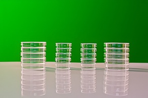 Набор чашек Петри - fgospostavki.ru - Зеленогорск