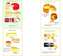 Плакаты ПРОФТЕХ "Ассортимент сыров" (9 пл, винил, 70х100) - fgospostavki.ru - Зеленогорск