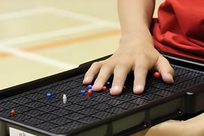 Сетка для игры тактильная (Бочча) - fgospostavki.ru - Зеленогорск