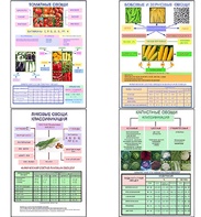 Плакаты ПРОФТЕХ "Классификация овощей" (11 пл, винил, 70х100) - fgospostavki.ru - Зеленогорск