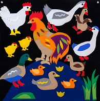 Пособие для слабовидящих детей «Домашние птицы» - fgospostavki.ru - Зеленогорск