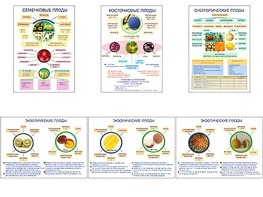 Плакаты ПРОФТЕХ "Плоды" (6 пл, винил, 70х100) - fgospostavki.ru - Зеленогорск