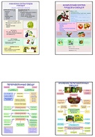 Плакаты ПРОФТЕХ "Классификация овощей и переработка" (8 пл, винил, 70х100) - fgospostavki.ru - Зеленогорск
