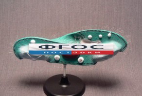 Модель "Инфузория-туфелька" - fgospostavki.ru - Зеленогорск