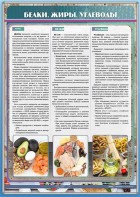 Стенд "Белки. Жиры. Углеводы" - fgospostavki.ru - Зеленогорск