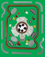 Модель-аппликация "Строение клетки" (набор из 54 пластмассовых фигур) - fgospostavki.ru - Зеленогорск