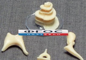 Модель "Косточки слуховые" - fgospostavki.ru - Зеленогорск