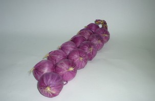 Муляжи "Связка лука" - fgospostavki.ru - Зеленогорск