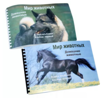 Пособие для слабовидящих - Домашние животные - fgospostavki.ru - Зеленогорск