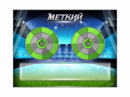 Электрифицированный координационно-развивающий спортивный комплекс "Меткий" - fgospostavki.ru - Зеленогорск