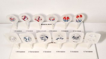 Модель "Митоз и мейоз клетки" - fgospostavki.ru - Зеленогорск