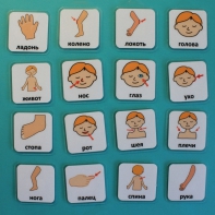 Набор карточек "Части тела" - fgospostavki.ru - Зеленогорск