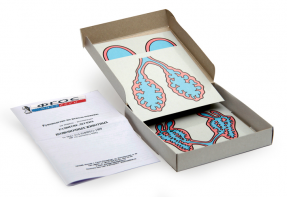 Модель-аппликация "Развитие легких позвоночных животных" (набор из 5 карт) - fgospostavki.ru - Зеленогорск