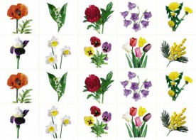 Комплект карточек "Запоминай, играй, считай" - Цветы - fgospostavki.ru - Зеленогорск