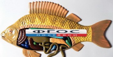 Модель барельефная "Внутреннее строение рыбы" - fgospostavki.ru - Зеленогорск