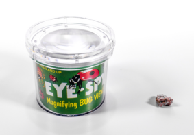 Бокс для наблюдения за насекомыми BUGV-01 - fgospostavki.ru - Зеленогорск