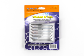 Набор микропрепаратов для микроскопа №5 «Насекомые» - fgospostavki.ru - Зеленогорск