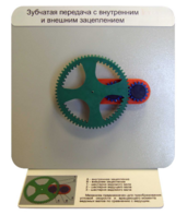 Демонстрационная модель "Зубчатая передача с внутренним и внешним зацеплением" - fgospostavki.ru - Зеленогорск