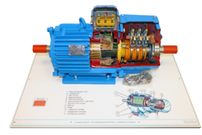 Стенд-планшет «Асинхронный двигатель с фазным ротором» - fgospostavki.ru - Зеленогорск