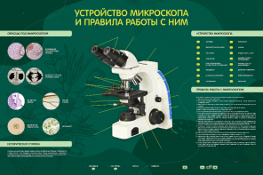 Электрифицированный стенд "Устройство микроскопа и правила работы c ним" - fgospostavki.ru - Зеленогорск