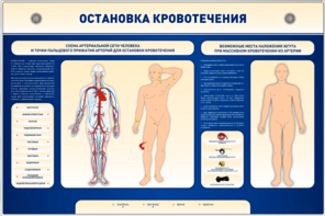 Электрифицированный стенд-тренажер "Остановка кровотечения" - fgospostavki.ru - Зеленогорск