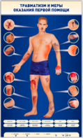 Электрифицированный стенд-тренажер "Травматизм и меры оказания первой помощи" - fgospostavki.ru - Зеленогорск