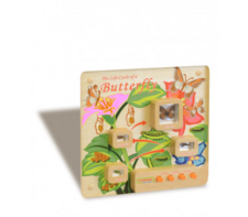 Панель «Жизненный цикл бабочки» - fgospostavki.ru - Зеленогорск