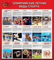 Стенд "Олимпийские летние виды спорта" - fgospostavki.ru - Зеленогорск