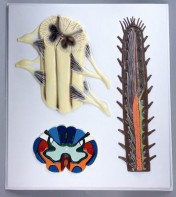 Модель барельефная "Строение спинного мозга" - fgospostavki.ru - Зеленогорск