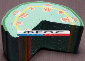 Модель "Стебель растения" - fgospostavki.ru - Зеленогорск