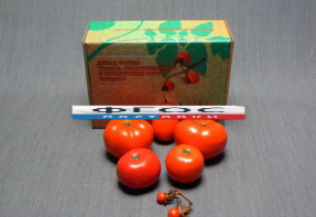 Набор муляжей "Дикая форма и культурные сорта томатов" - fgospostavki.ru - Зеленогорск