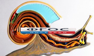 Модель барельефная "Внутреннее строение брюхоногого моллюска" - fgospostavki.ru - Зеленогорск