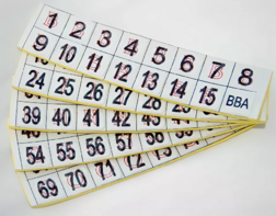 Фишки для игры «Бинго» со шрифтом Брайля - fgospostavki.ru - Зеленогорск