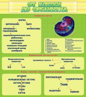Стенд "От клетки до организма" - fgospostavki.ru - Зеленогорск